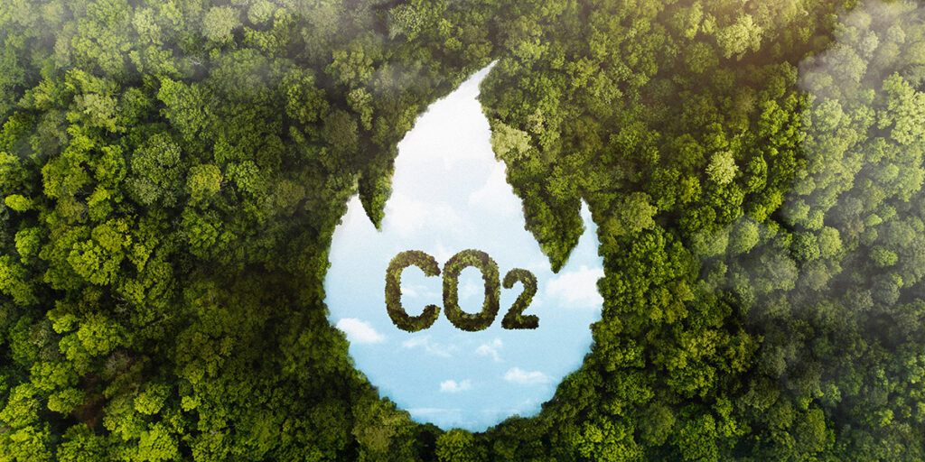 Carbon Footprint